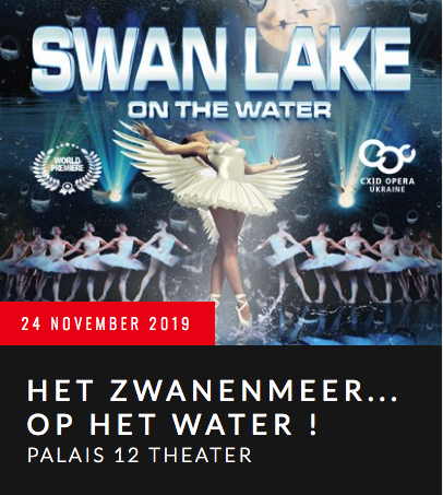 Affiche. Palais 12. Swan Lake on the Water. 2019-11-24
